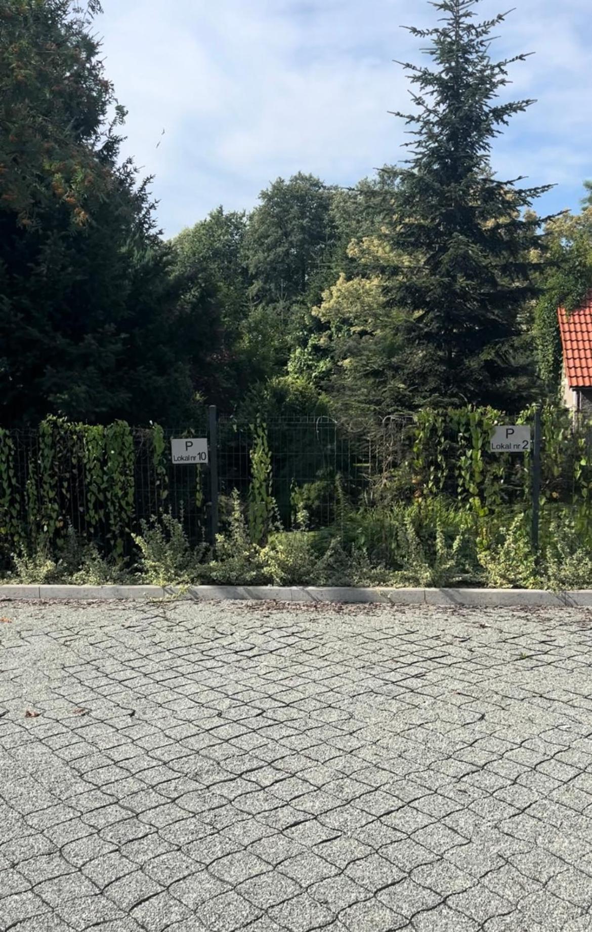 Apartment The 10 Nimf Ma I Kapiel Piwna